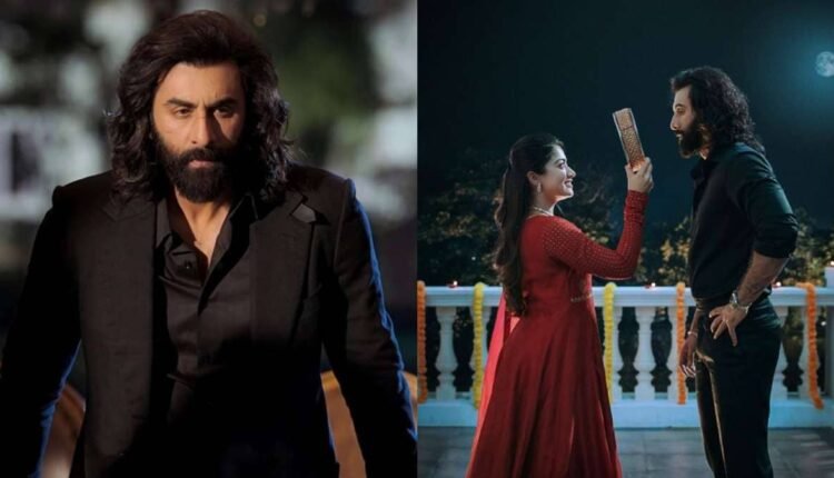 Ranbir's Animal can have the biggest opening of the new year, earning crores from advance booking