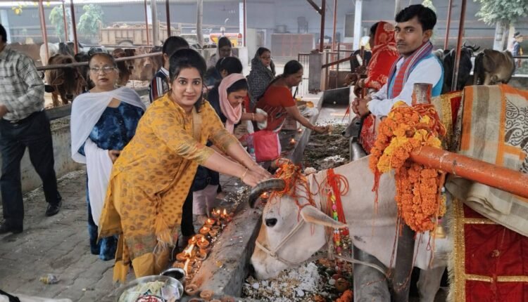 On the occasion of Gopashtami, cow worship and havan was done in Raghunath Gaushala.