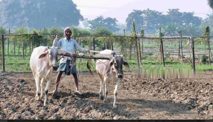 Organic farming products of 2 thousand 17 farmers of Samastipur will get recognition.