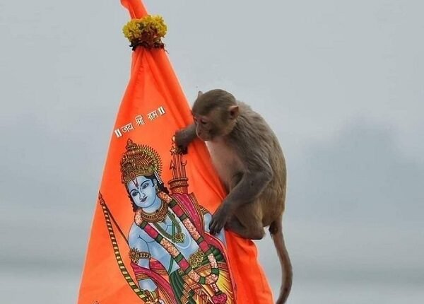 Along with the devotees, Hanuman ji also had darshan of Ramlala, even the security personnel were surprised.