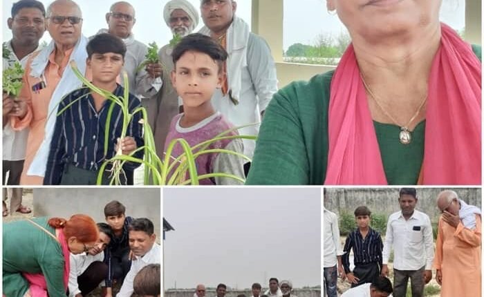 Plantation in Kalchina Valmiki crematorium under the aegis of Amrit Seva Trust, courtesy of Gram Panchayat member Arun Dhilor