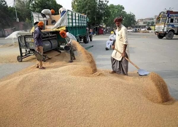 Pakistan imposes ban on wheat import, flour export