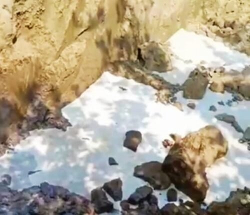 food safety officials destroy 1400 litres fake milk in uttar pradesh