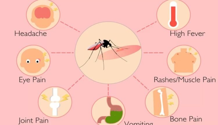 Advice from acupuncture specialist Dr. Alka Saxena for prevention and treatment of dengue