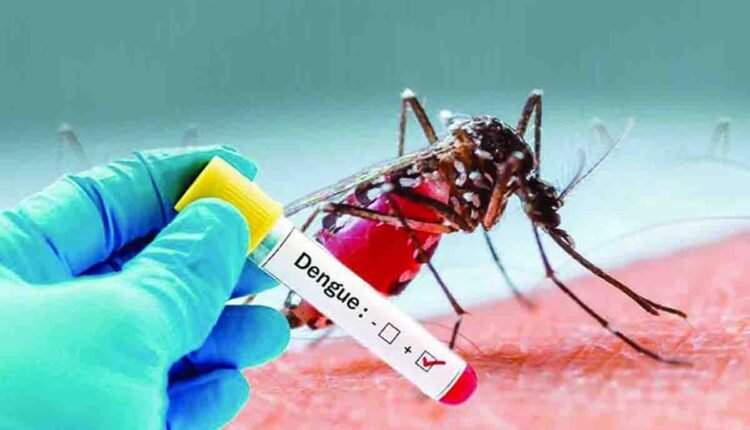 Dengue havoc across the world: 1.27 crore cases so far in 2024, WHO issued warning