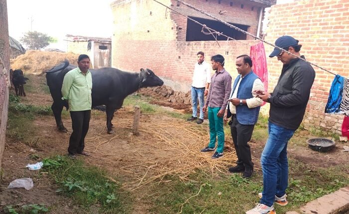 21st animal census started- Block Asafpur