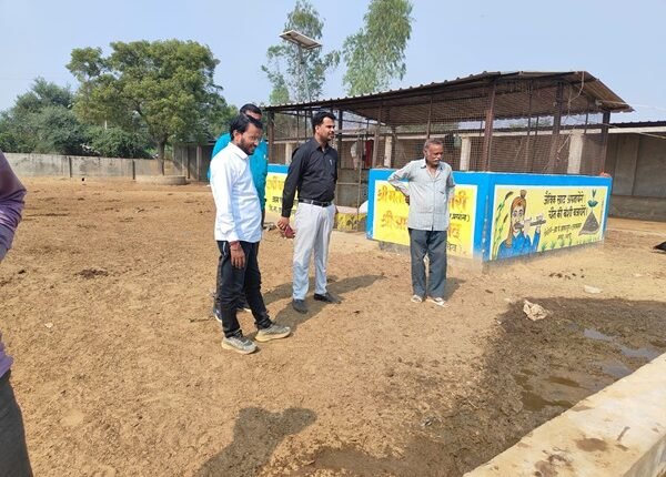 Naib Tehsildar conducted surprise inspection of schools and cow shelters