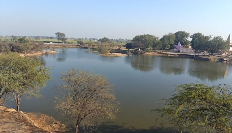 Serene environment at Turtle sanctuary provides an opportunity to introspect as nature’s quiet symphony holds the answers to many of our inner conflicts.