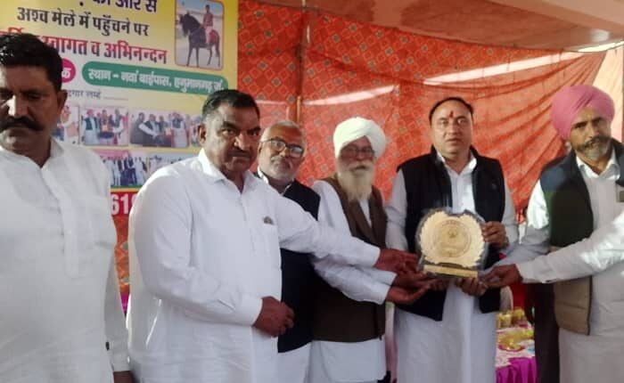 Horse fair at Hanumangarh Junction, traders arrived from different states