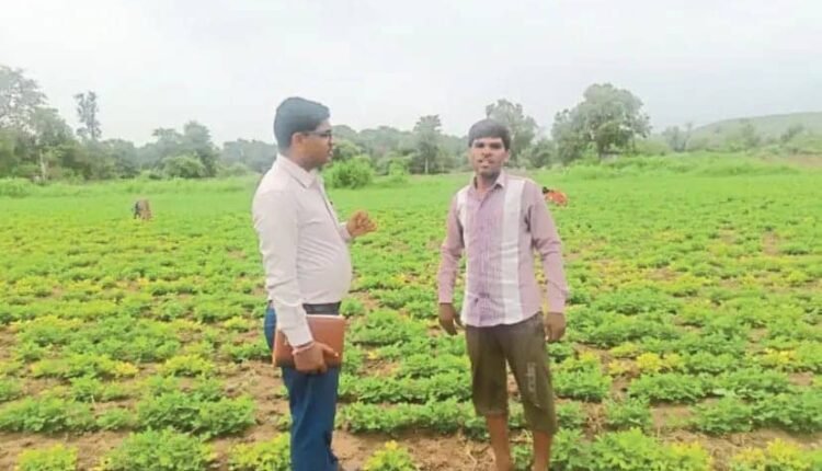 Jaipur: Efforts to connect Rajasthan farmers with cash crops, 2 thousand mini kits will be distributed