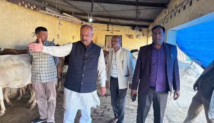 Member Gau Seva Aayog held a meeting of officers and inspected the cow shelter