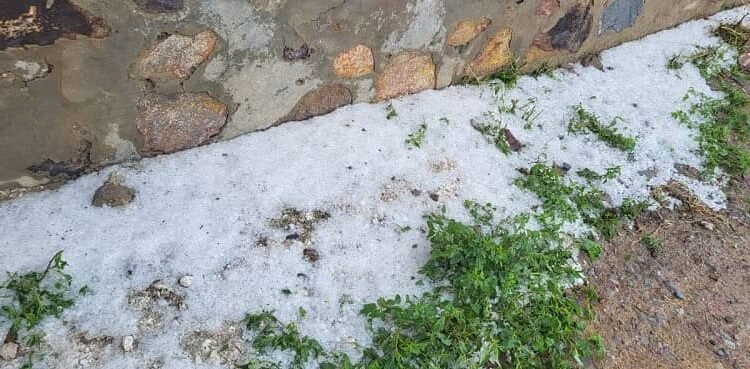 Weather changed in Khairthal-Tijara, heavy damage to crops due to rain and hailstorm