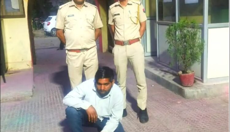 Three cows being taken for slaughter were freed, one arrested, pickup seized