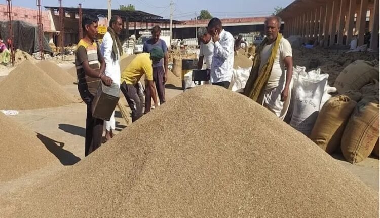 Kota: Mustard-paddy slow, urad fast, 90,000 bags of agricultural commodities arrived, know the market price