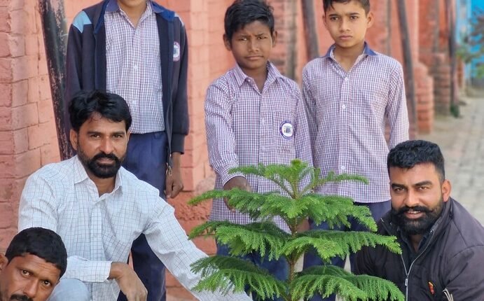 Plantation to stop global warming and purify the environment