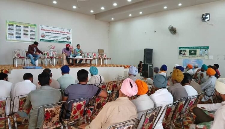 Awareness created about identification and control of pink caterpillar