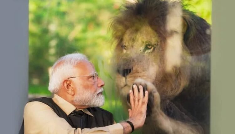 Prime Minister Modi inaugurated the animal conservation center 'Vantara'