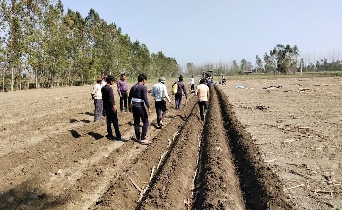 Farmers of Rampur district are being encouraged for mixed cropping