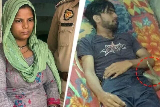 Meerut: The horrifying murder mystery of 'killer wife' and 'poisonous snake' revealed