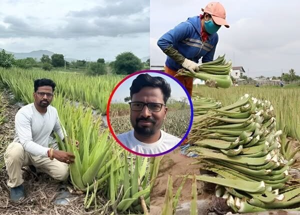 The story of a farmer who earned ₹3.5 crores from Aloe Vera farming..