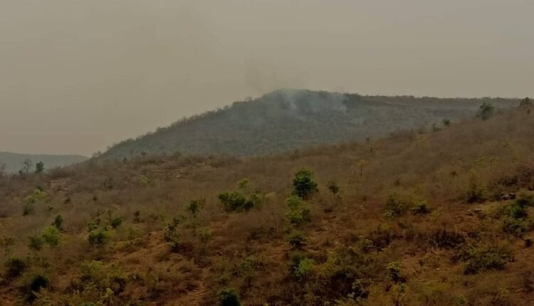 The forest fire could not be extinguished even on the second day, the forest department team is busy in extinguishing it