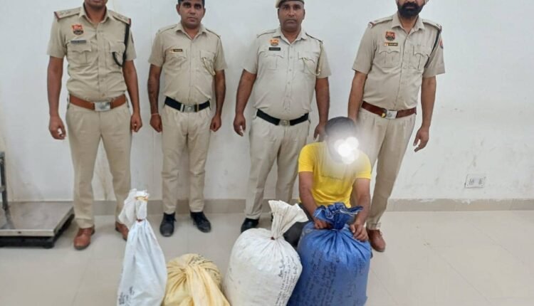 CIA Sirsa Police arrested a person and recovered 16 kg 450 grams of poppy husk worth about one lakh rupees