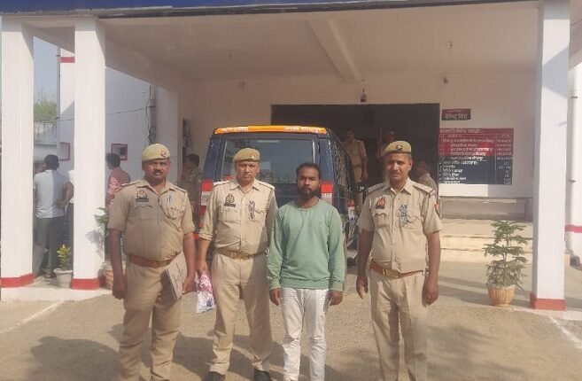 Mirzapur Police arrested and sent to jail for brandishing pistol and cartridge