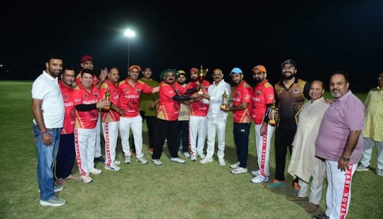 Bhiwadi won by 17 runs in the cricket friendly match of Punjabi society