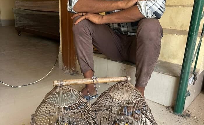 Tijara: A youth arrested with three live owls in wildlife smuggling case