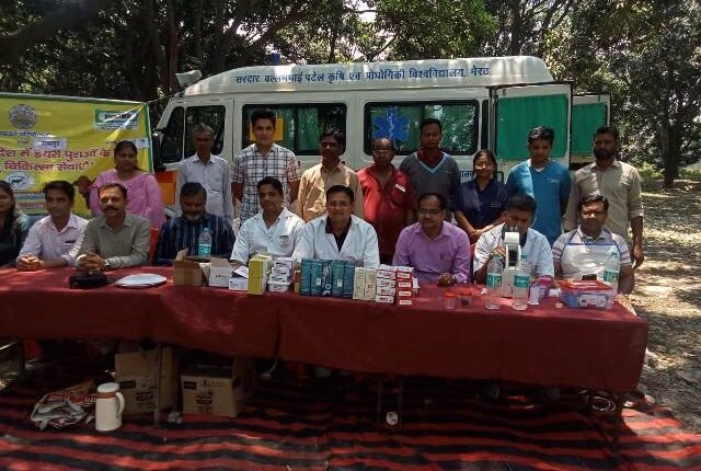 Rampur Scientists from Meerut treated animals in Singankheda village