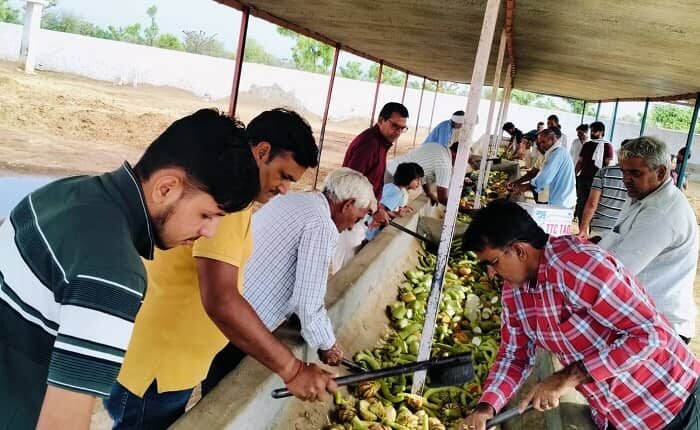 Balaji Gau Seva Sansthan, Nagaur organized a grand cow service and anniversary celebration at Jazam Puri Baba Gaushala