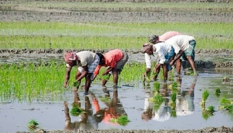 Apply for Agricultural Entrepreneur Swavalamban Yojana by 20th July