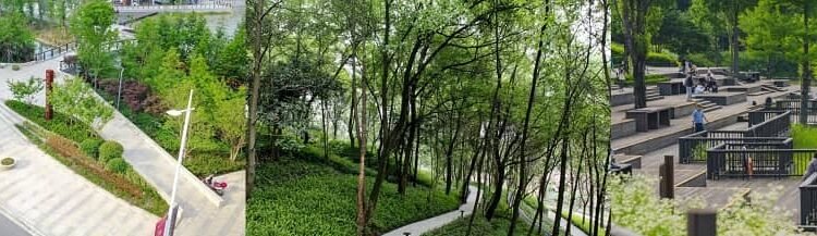 In the coming days, you will get to see a foreign-like view in City Forest (Lungs of Ghaziabad)