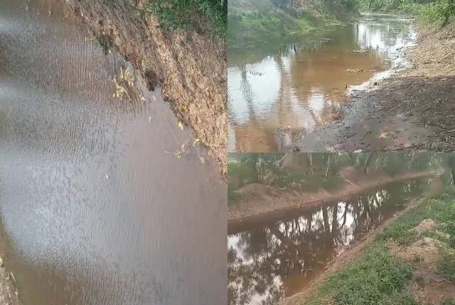 negligence of the canal department, the water of Sherawali Bhakra reached the floody canal, the overflow kept flowing throughout the night