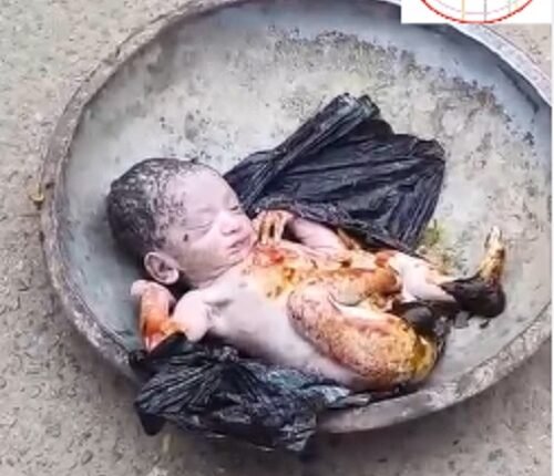 Humanity shamed in Muzaffarnagar: A newborn child found in agony in a dustbin, sensation spread in the area
