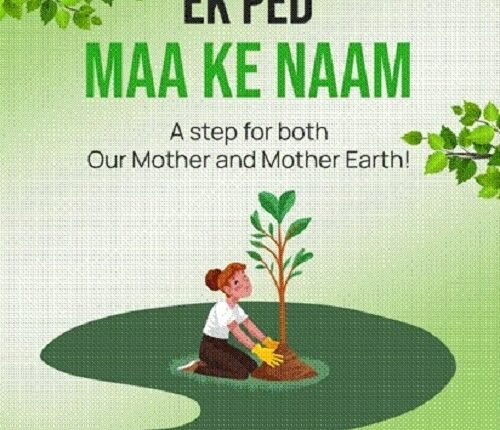 Children planted 220 saplings in Jodhkan School under the campaign 'One tree in the name of mother'