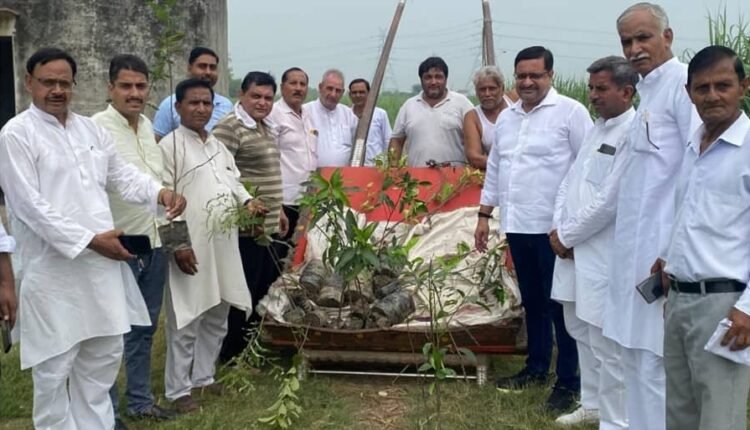 RLD Professional Cell: Arun Dahiya and his colleagues planted trees together