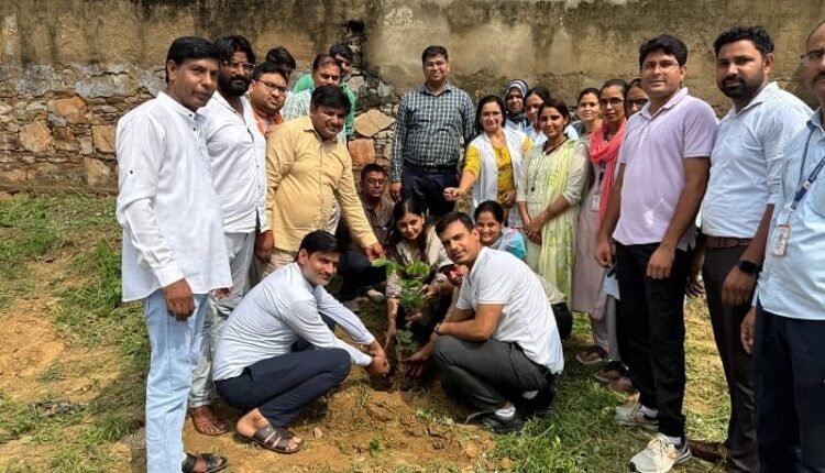 Special tree plantation program organized on the occasion of Doctor's Day