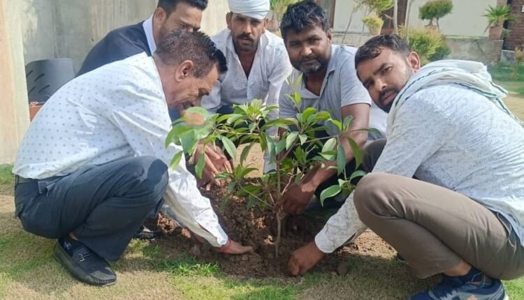 Planted trees in the rest house and took a pledge to take care of them