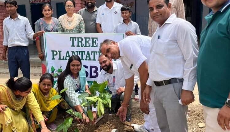 Special tree plantation program at Government Model Sanskriti Vidyalaya, Ellenabad, courtesy of SBI