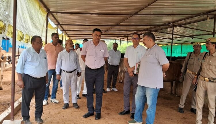 The District Magistrate inspected the Barji Mukundpur cow shelter