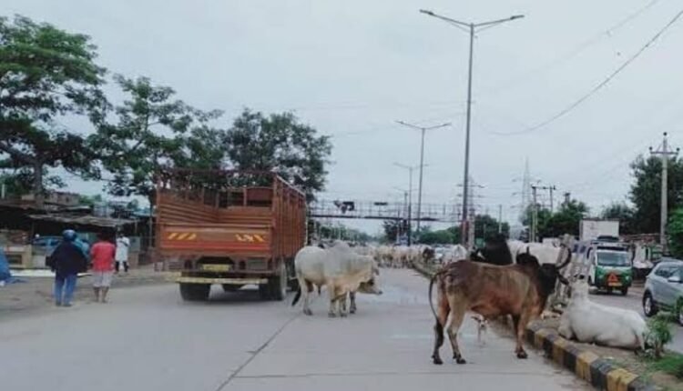 Responsibility in the district is only for the Chief Minister, not for the general public