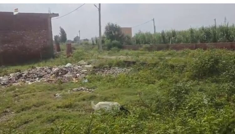 Ghaziabad Modinagar: Allegations of illegal settlement in Lankapuri Colony, questions raised over administration's silence