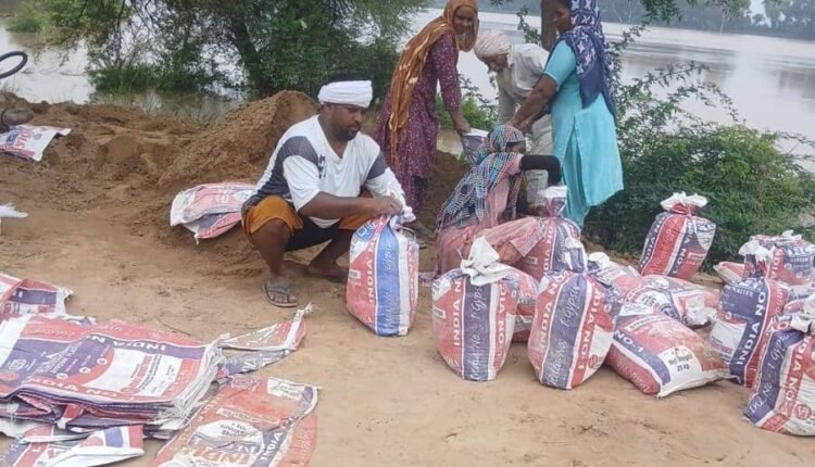 Ellenabad: District administration alert regarding the water level of Ghaggar and the safety of embankments