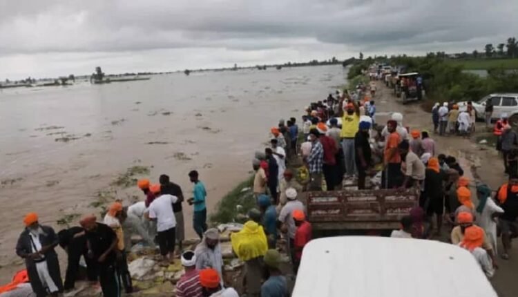 Manav Sanrakshan Kalyan Sansthan decided to provide medical facilities in the flood affected areas of Punjab