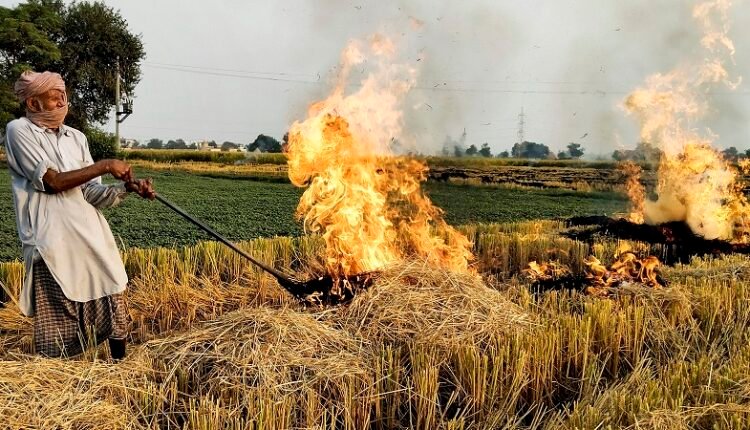 Students took out a rally to give the message of not burning stubble.