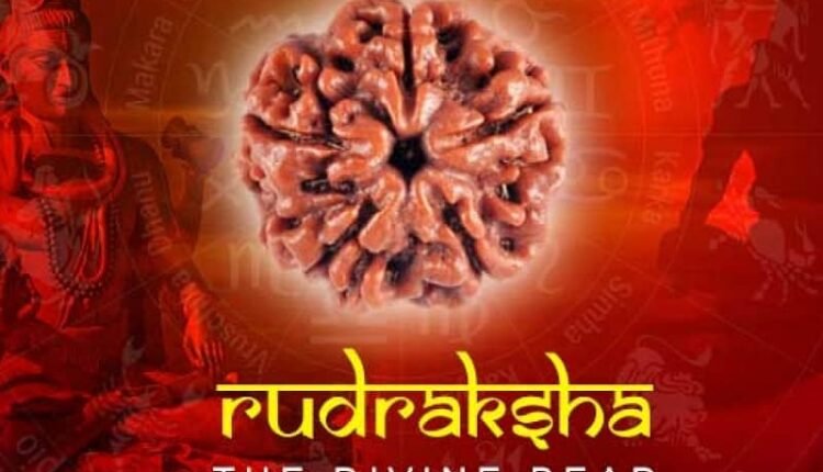 Miraculous Benefits of Wearing Rudraksha: From Lord Shiva's Blessings to Career and Financial Gains, Learn the Correct Rules and Identification