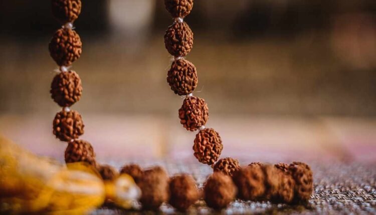 Miraculous Benefits of Rudraksha: Know which Rudraksha can bring you wealth and blessings of Lord Shiva.