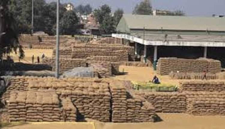 Procurement of 3,56,927 metric tonnes of paddy completed in the district's mandis, lifting process underway