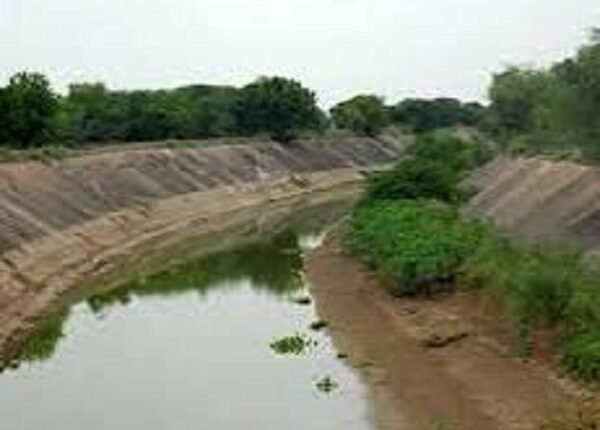 “Brother, take any one… it is just Cempa Cola, which Sutlej-Yamuna link canal is it that will not come?”